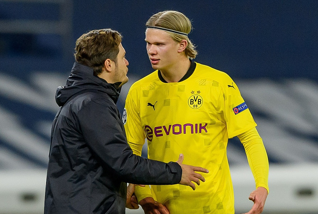 足球世界杯球场建设进入收尾阶段，安全标准升级（世界杯球场建设步入收官阶段，安全标准再升级）